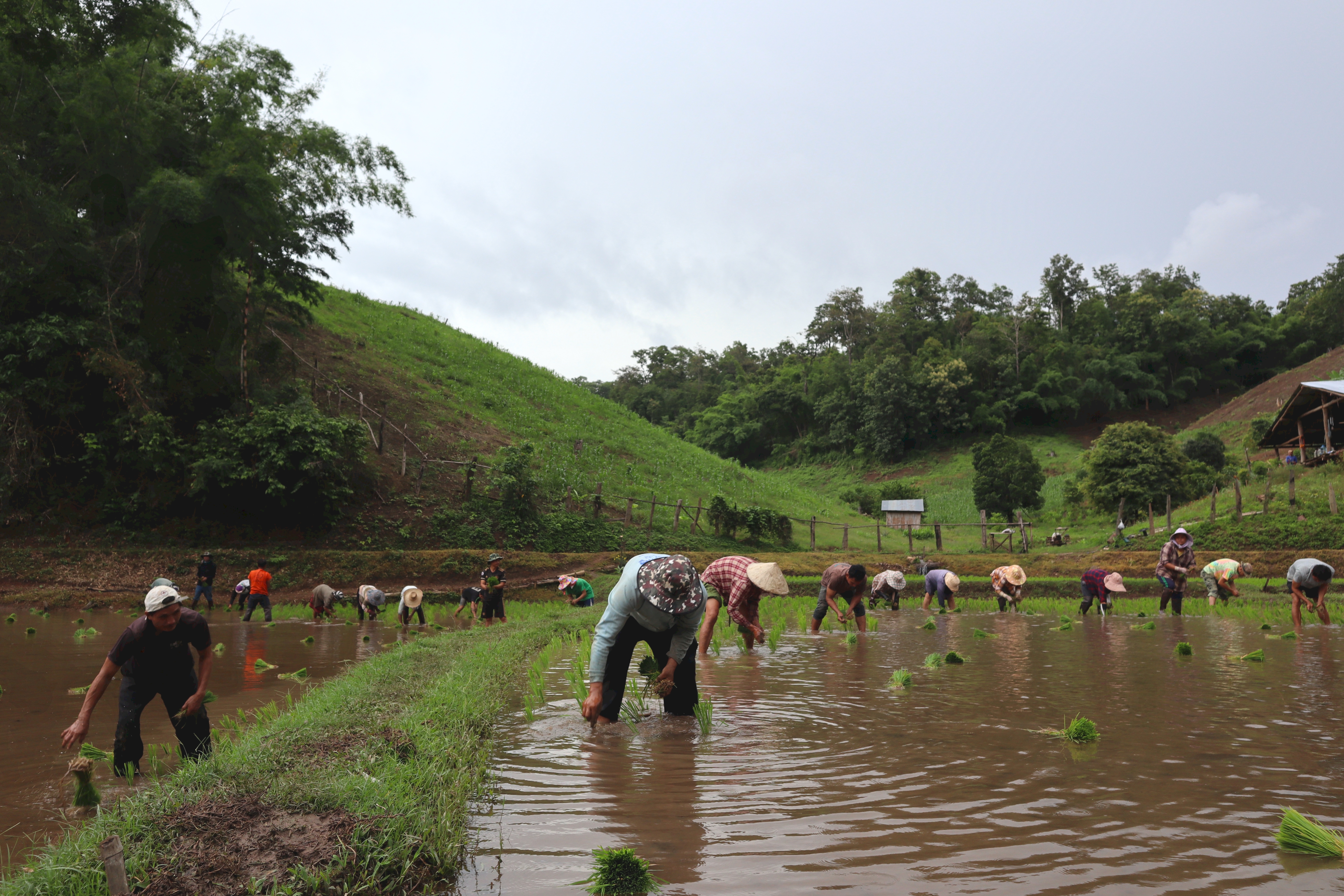 Pa Tueng Gnam