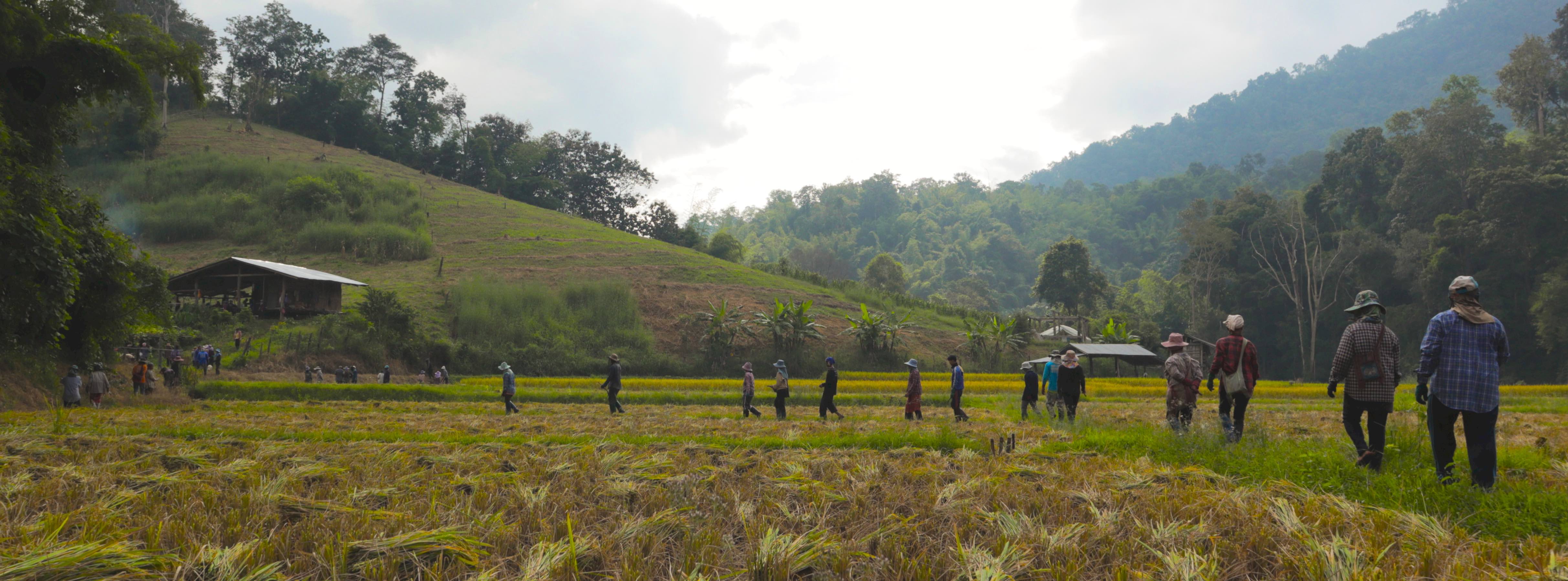 Pa Tueng Gnam