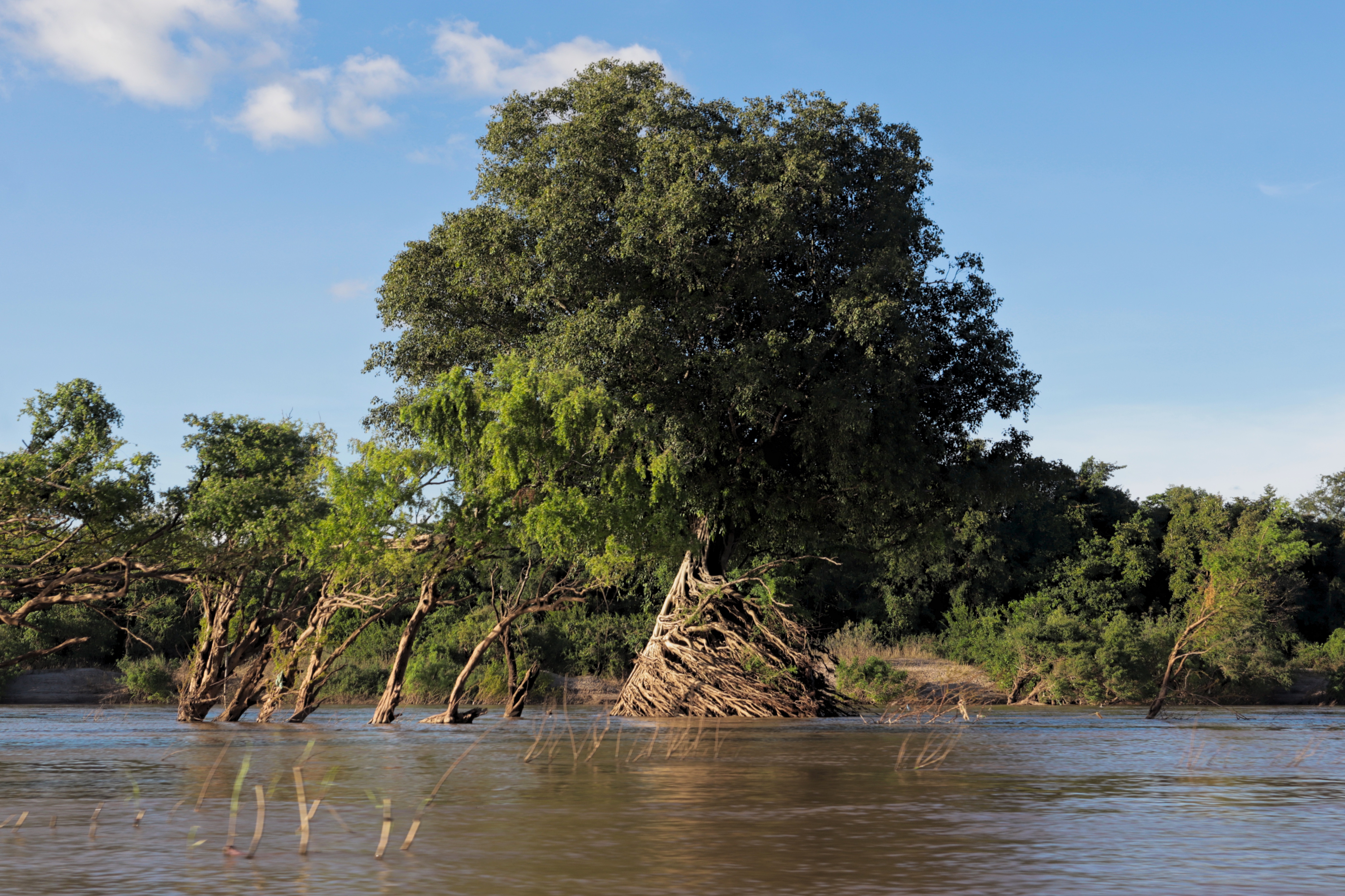 Laos Siphandone